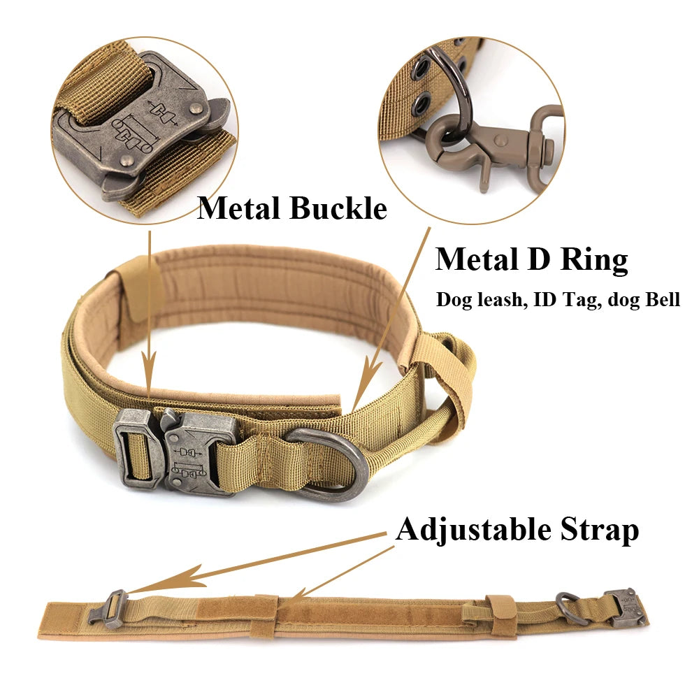 Large Dog Harness & Leash Set